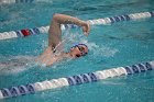 Swim vs Bentley  Wheaton College Swimming & Diving vs Bentley University. - Photo by Keith Nordstrom : Wheaton, Swimming & Diving